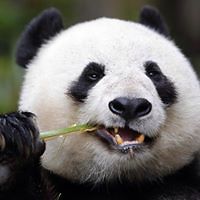 jessica_hartman_75873 avatar