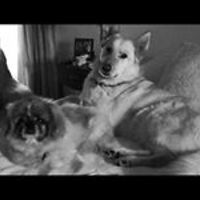 mary_wagner_71465 avatar