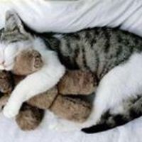 angel_walker_1297 avatar