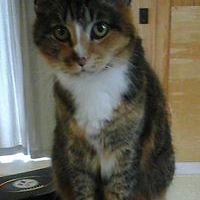 juli_rockwell avatar