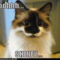 mary_giambersott avatar