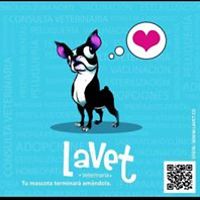 mariposa_peterzelka avatar