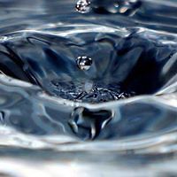 virginia_ienco avatar