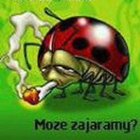 MalgochaPonczocha avatar