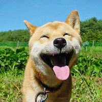 markovujosevic avatar