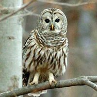 cynthia_mayes_39 avatar