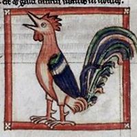 giovanni_gallo avatar