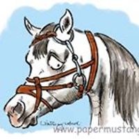 andi_papiermustang_9 avatar