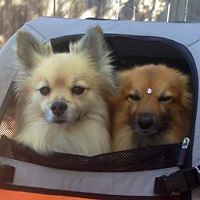 michelle_province avatar