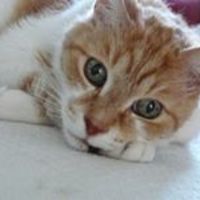 patricia_cretier avatar