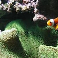 davide_ventura_372 avatar