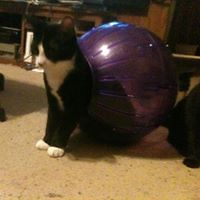 bridgette_oconnell_3 avatar