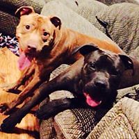 ashley_d_thompson avatar