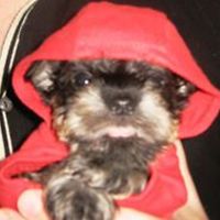 kathy_norton_127 avatar