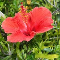 rhianna_mandrusov avatar