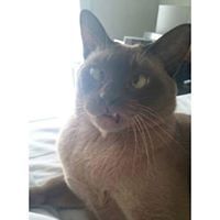 juliette_odonnell_7 avatar