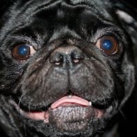 lance_hollister avatar