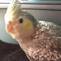 melissa_cara76 avatar