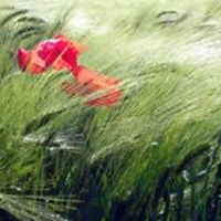 philippe_mouillevoix avatar