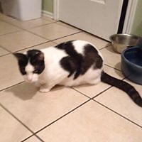 551820b0a7d4a avatar