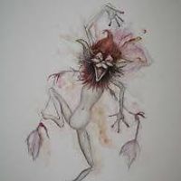 nancy_robertsfrady avatar