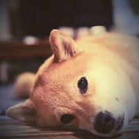 conmeocondilac avatar