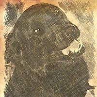 joy_hughes_376 avatar