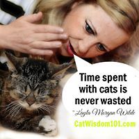 layla_morgan_wilde avatar