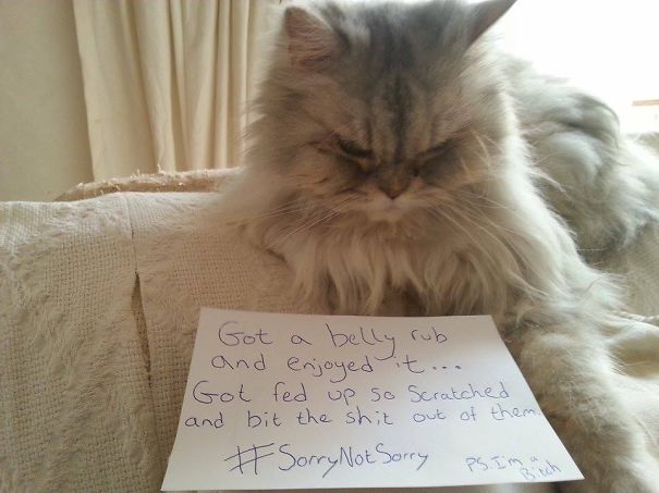 Cute To Bitch In 20 Seconds