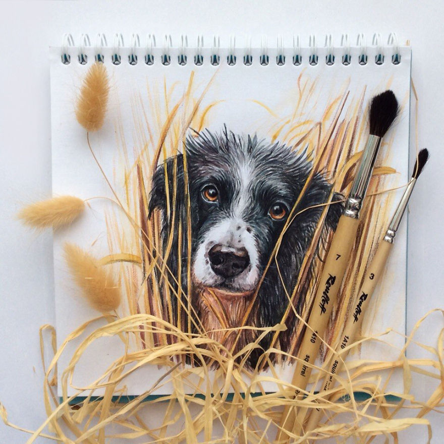 Russian Illustrator Turns Famous Instagram Dogs Into Drawings