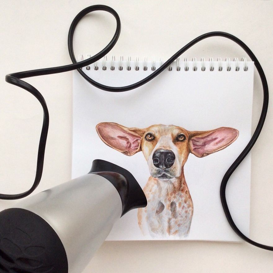 Russian Illustrator Turns Famous Instagram Dogs Into Drawings