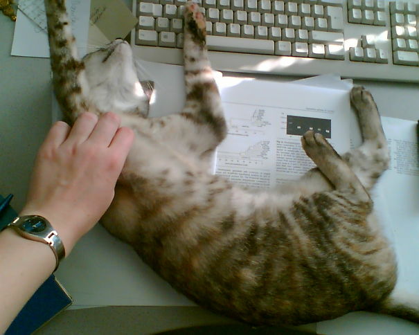 You Want To Study? No Way!!!