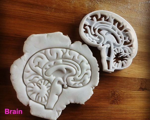 Anatomical Brain Cookie Cutter