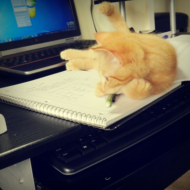 This Problems Are Hard To Solve :-|