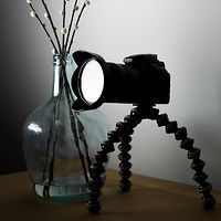 luvophotography avatar