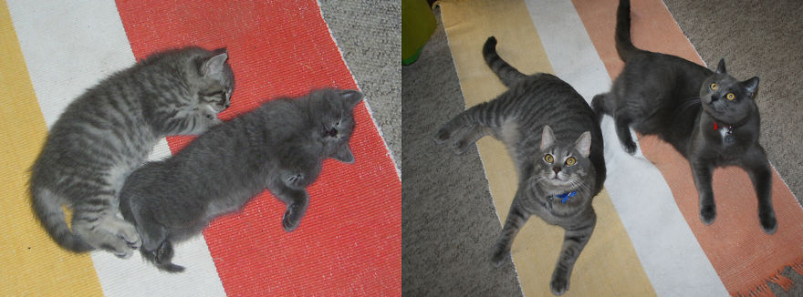 Two Years And A Faded Mat