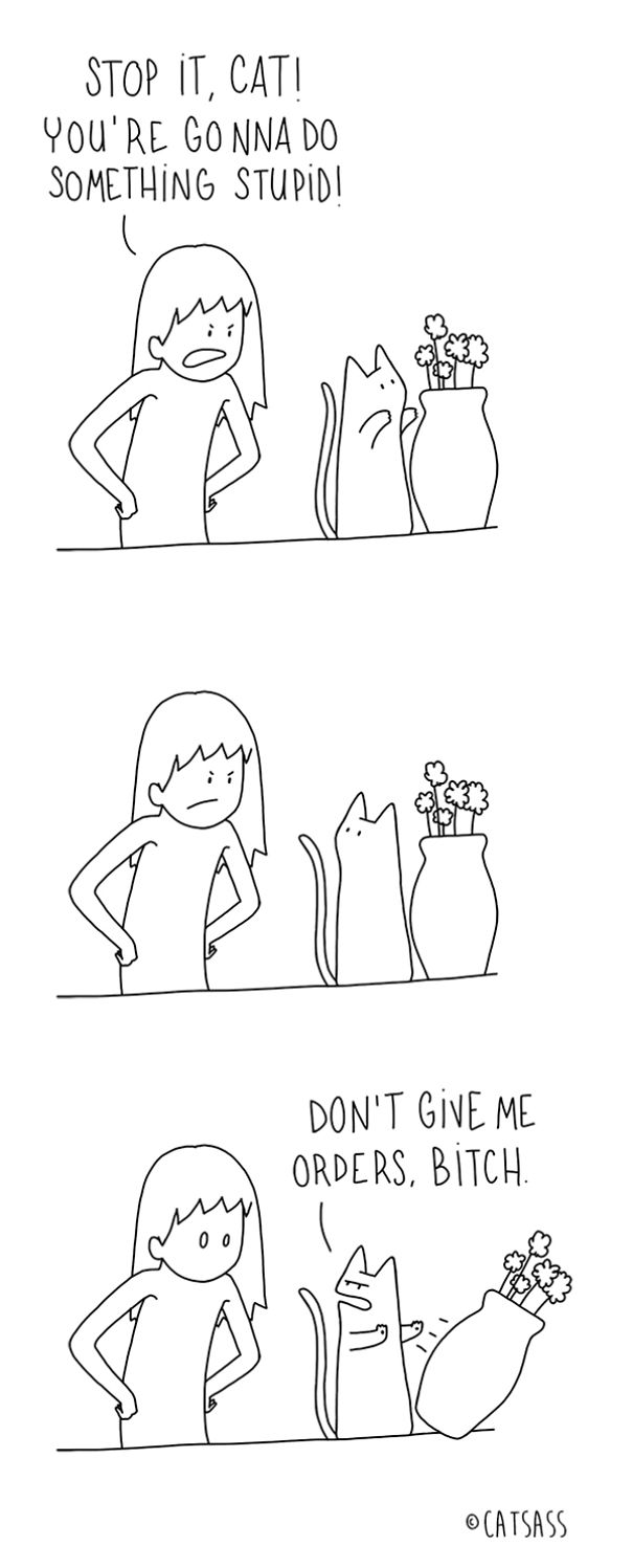 What Your Cat Really Thinks What Your Cat Really Thinks