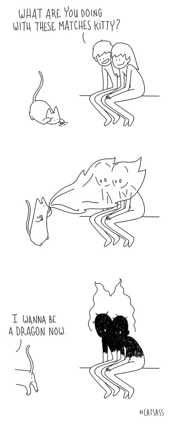 What Your Cat Really Thinks