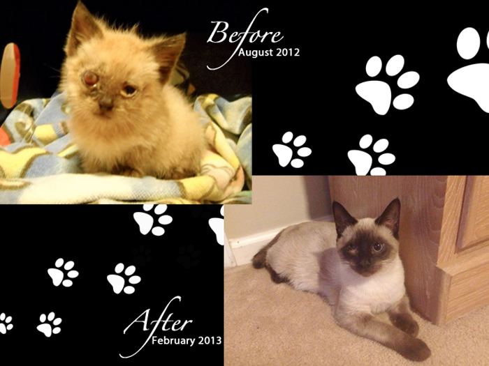 Charlie's Transformation Thursday Pic!