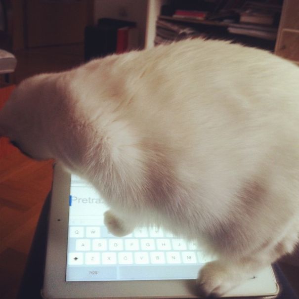 Gotta Check Something On Facebook :)