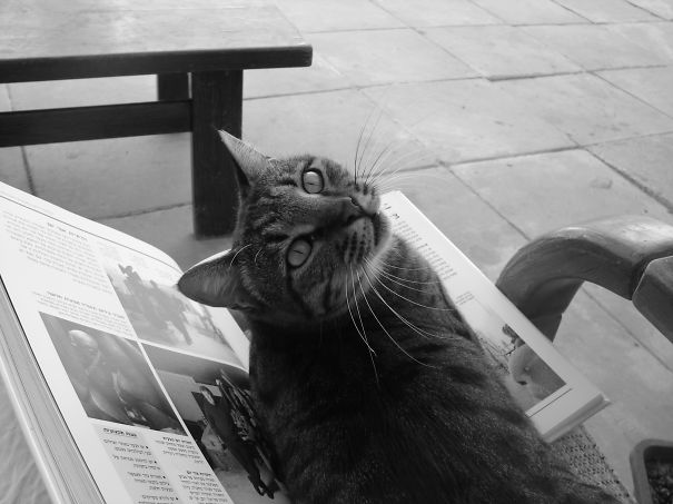 You Are So Thoughtful! Much More Comfortable This Way ..