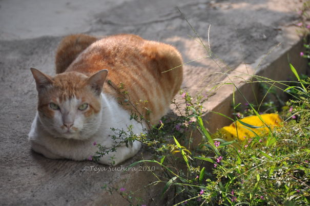 What Are You Lookin' At!? #sabio