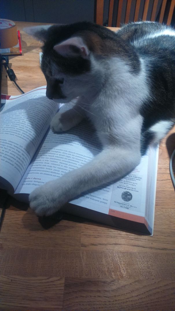 Studying (and Applying) Cartesian Doubt On Saturday Evening.