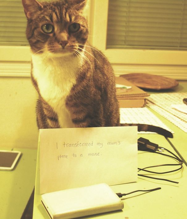 I Transformed My Mum's Mobile Phone To A Mouse (and Not First Time).