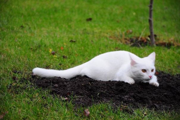 When She Already Buried Someone...