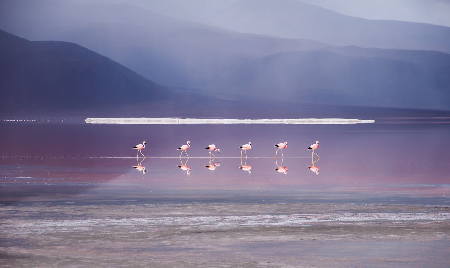 Bolivian Paradise: I Traveled For 3 Months Through The Land Of Wonders Bolivian Paradise: I Traveled For 3 Months Through The Land Of Wonders