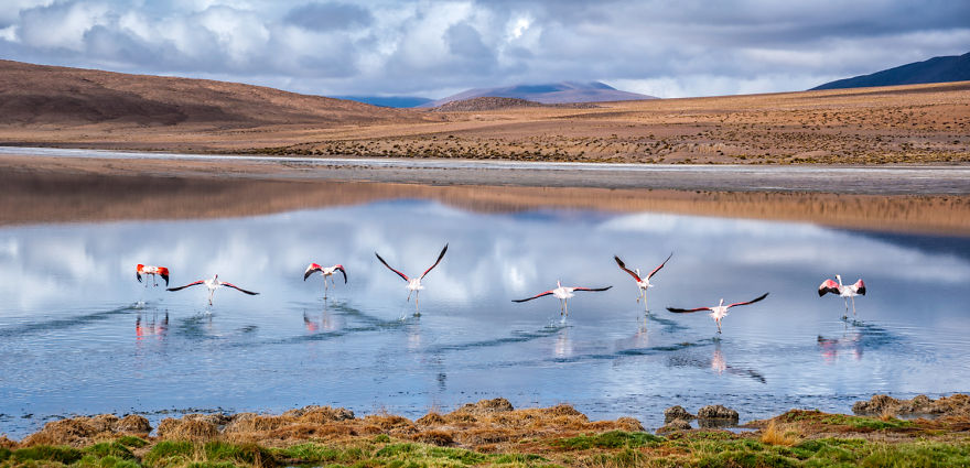 Bolivian Paradise: I Traveled For 3 Months Through The Land Of Wonders Bolivian Paradise: I Traveled For 3 Months Through The Land Of Wonders