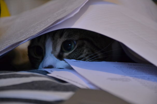 Reading Stealth Mode