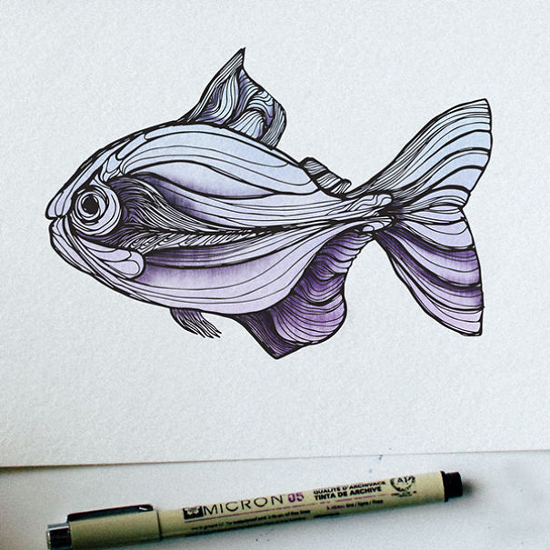 Illustrated fish drawing with detailed line work, part of an animal letter a day series teaching the alphabet. Illustrated fish drawing with detailed line work, part of an animal letter a day series teaching the alphabet.
