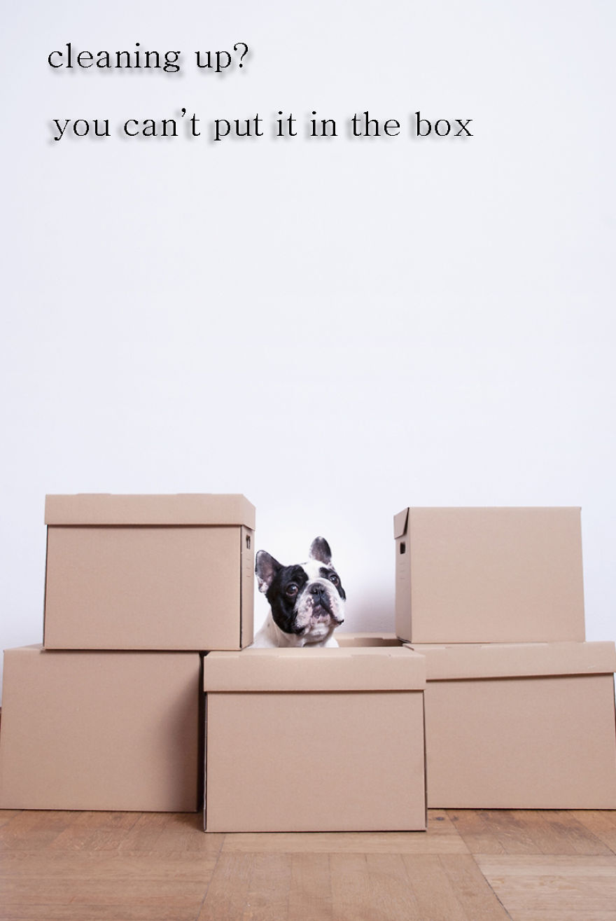 Don't Use, Love: I Created A Project To Remind People That Pets Are Not Things Don't Use, Love: I Created A Project To Remind People That Pets Are Not Things